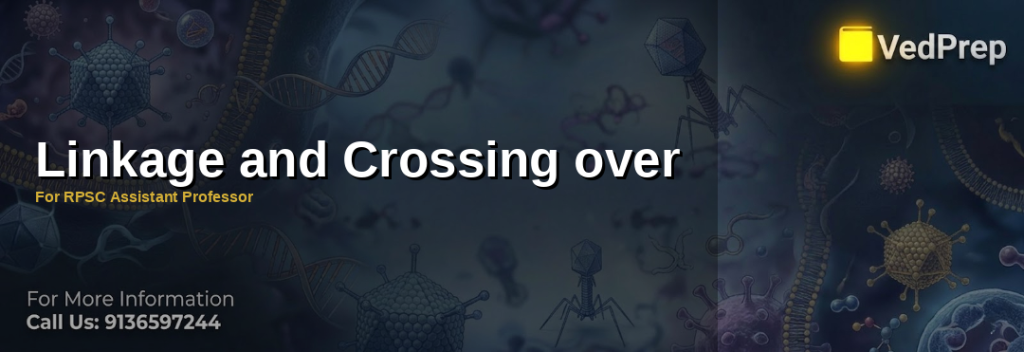 Genetic linkage and crossing over diagram illustrating chromosome exchange during meiosis for RPSC Assistant Professor preparation