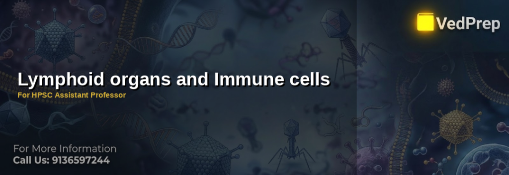 lymphoid organs and immune cells explained – VedPrep exam preparation guide