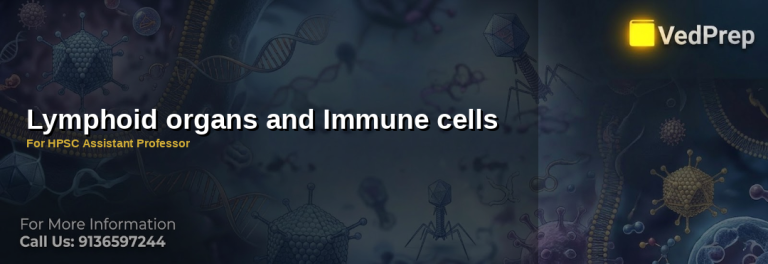 lymphoid organs and immune cells explained – VedPrep exam preparation guide
