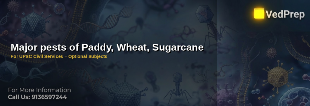 major pests of paddy wheat sugarcane explained – VedPrep exam preparation guide