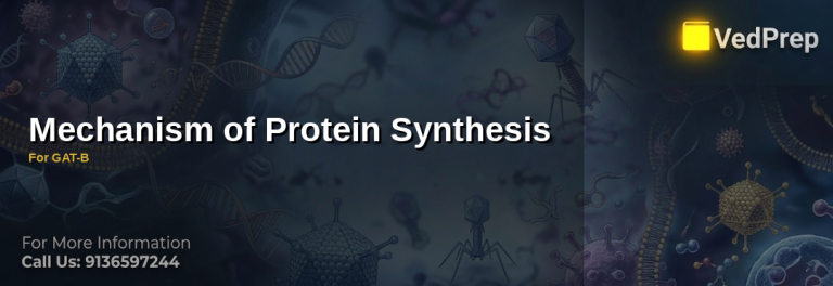 Step-by-step diagram illustrating the mechanism of protein synthesis from DNA to functional protein in eukaryotic cells