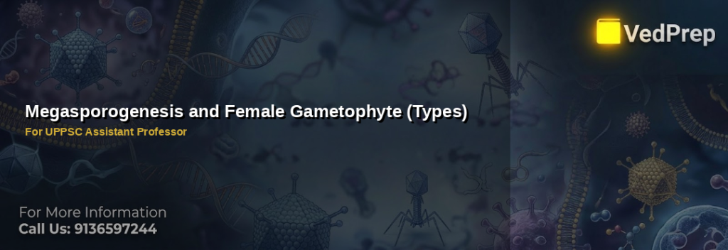 Illustration of megasporogenesis types and female gametophyte development in flowering plants