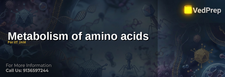 Metabolism of amino acids