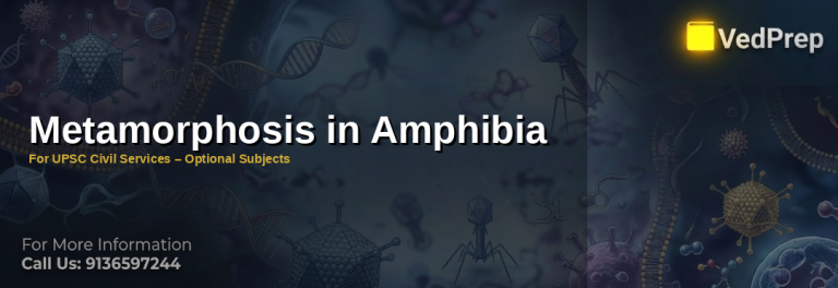 amphibian metamorphosis explained – VedPrep exam preparation guide