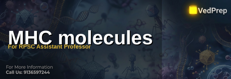 Illustration of MHC molecules presenting antigens to T-cells in immune response