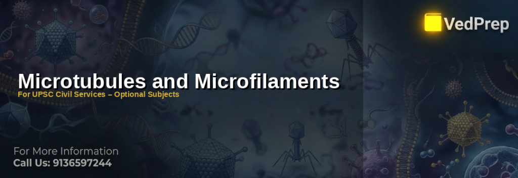 Diagram showing microtubules and microfilaments structure in a eukaryotic cell