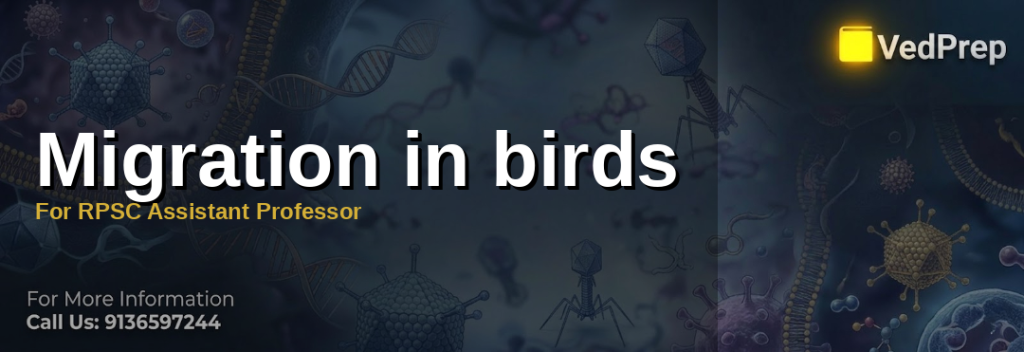 Migration in birds