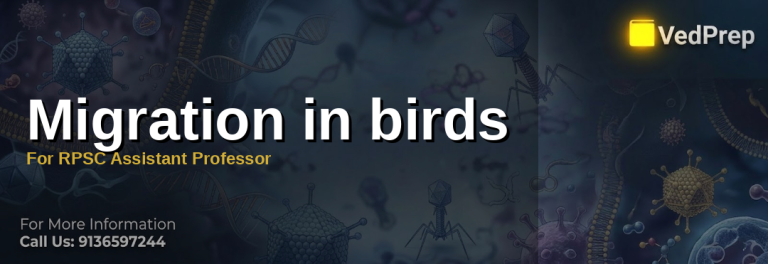 Migration in birds