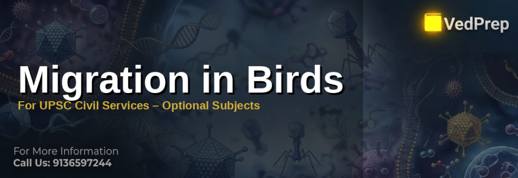 Bird migration patterns across continents with key ecological routes highlighted