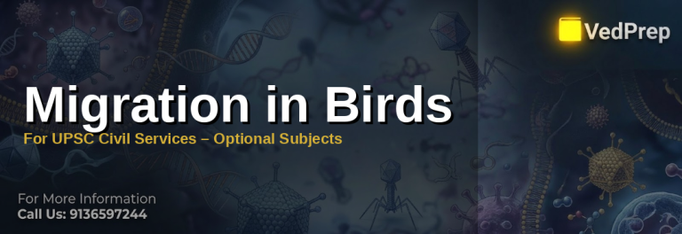 Bird migration patterns across continents with key ecological routes highlighted