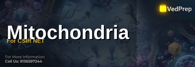 Mitochondria