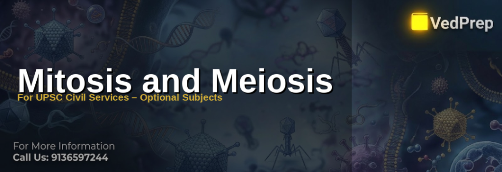 A detailed diagram illustrating the stages of mitosis and meiosis side-by-side for UPSC Civil Services preparation