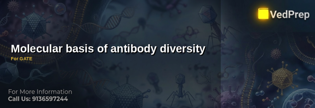 Molecular basis of antibody diversity