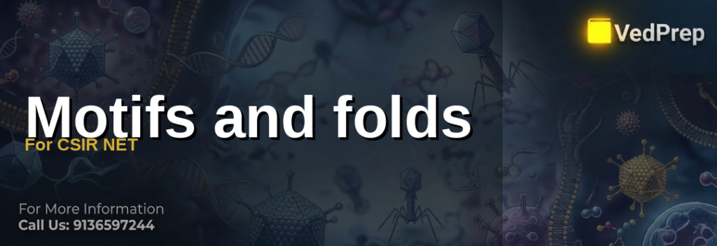 Motifs and folds For CSIR NET