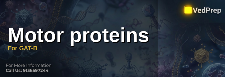 motor proteins for GAT-B explained – VedPrep exam preparation guide