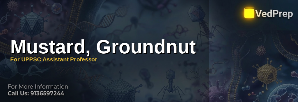 mustard groundnut explained – VedPrep exam preparation guide