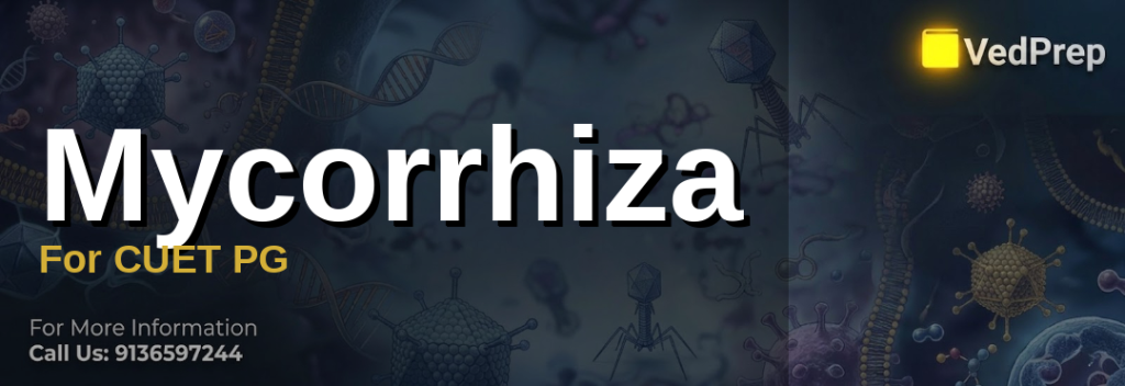 Mycorrhiza for CUET PG