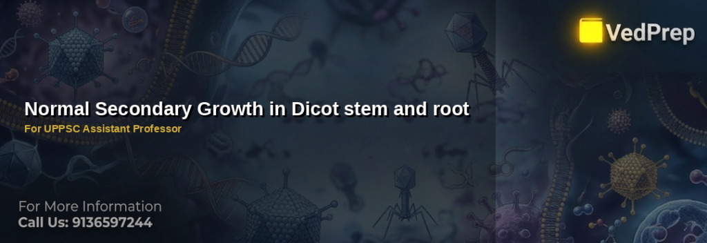 Normal secondary growth in dicots explained – VedPrep exam preparation guide
