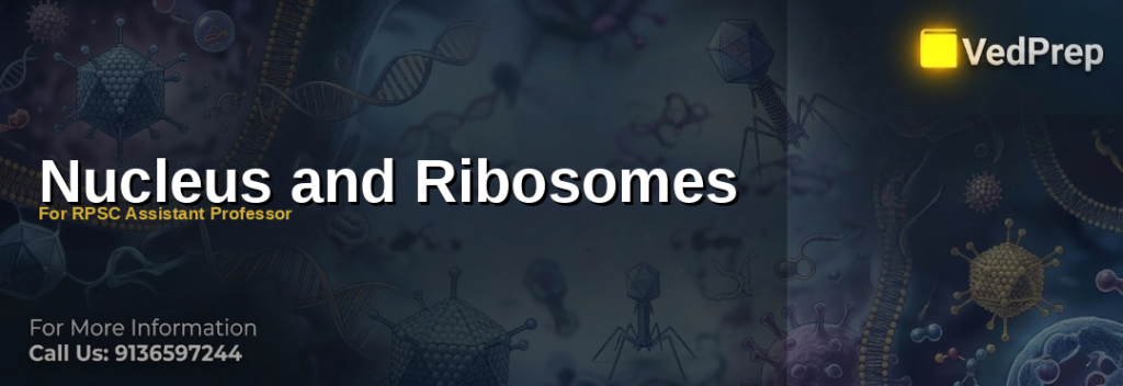 Nucleus and Ribosomes