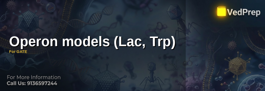 Operon models