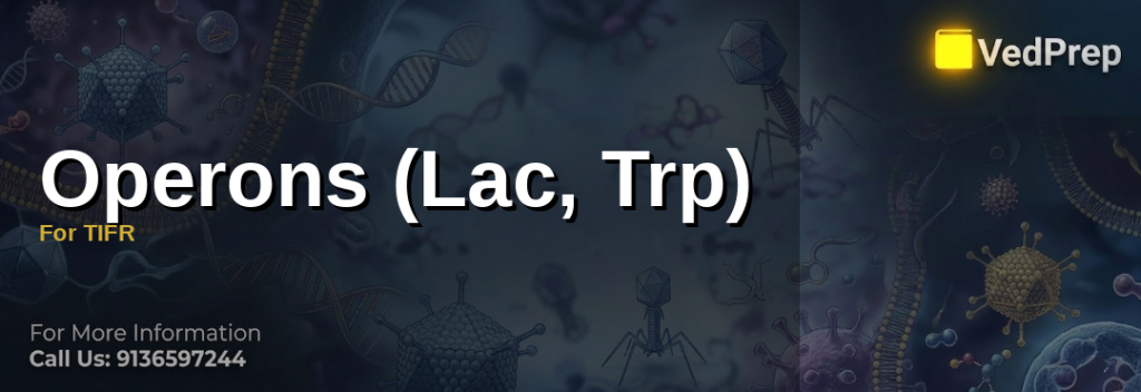 Detailed illustration of Lac Trp Operons showing Lac and Trp operon structures and regulatory mechanisms