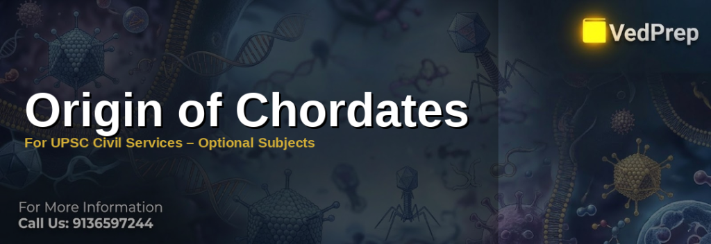 Illustration showing the evolutionary timeline of chordate evolution with key fossil discoveries and anatomical features
