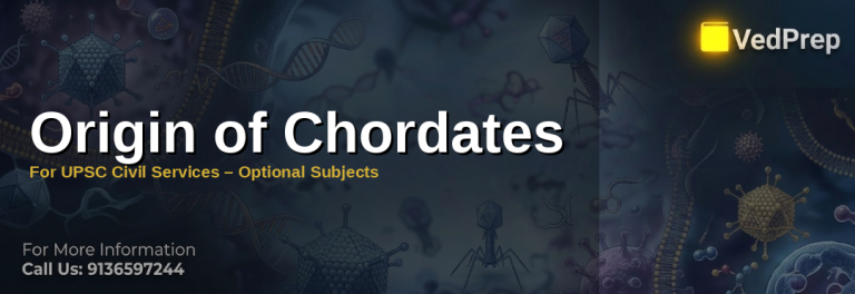 Illustration showing the evolutionary timeline of chordate evolution with key fossil discoveries and anatomical features