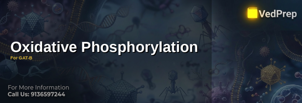 A detailed diagram illustrating the oxidative phosphorylation process in mitochondria, highlighting electron transport chain and ATP synthesis