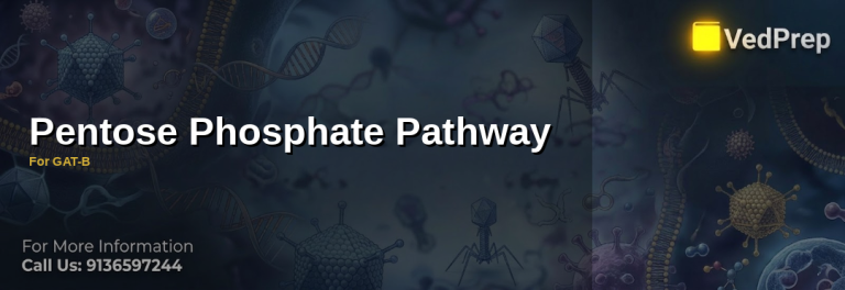 A detailed biochemical pathway diagram illustrating the pentose phosphate pathway with labeled oxidative and non-oxidative phases, key enzymes, and products like NADPH and ribose-5-phosphate