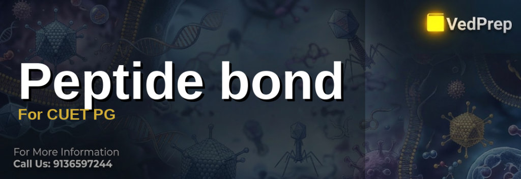 A detailed molecular diagram illustrating the structure and formation of peptide bond basics in protein chains