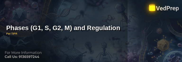 Phases G1, S, G2, M and Regulation explained – VedPrep exam preparation guide