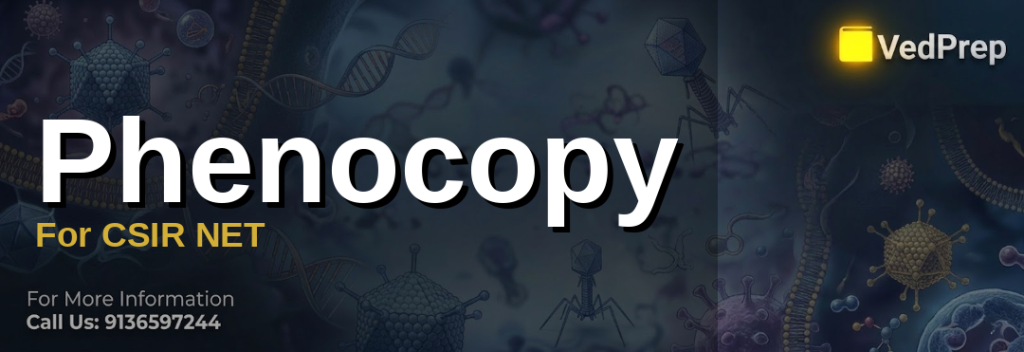 Phenocopy