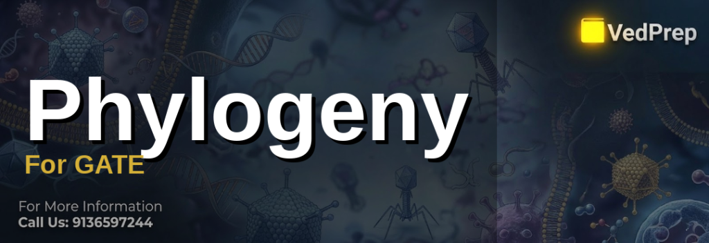 Phylogeny