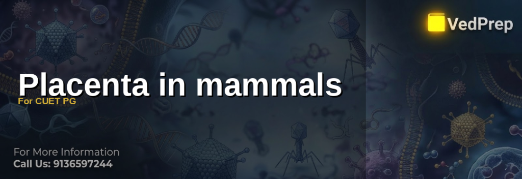 Placenta in mammals for cuet pg