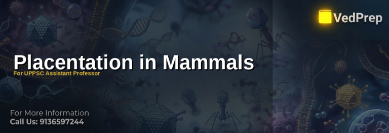placentation in mammals explained – VedPrep exam preparation guide