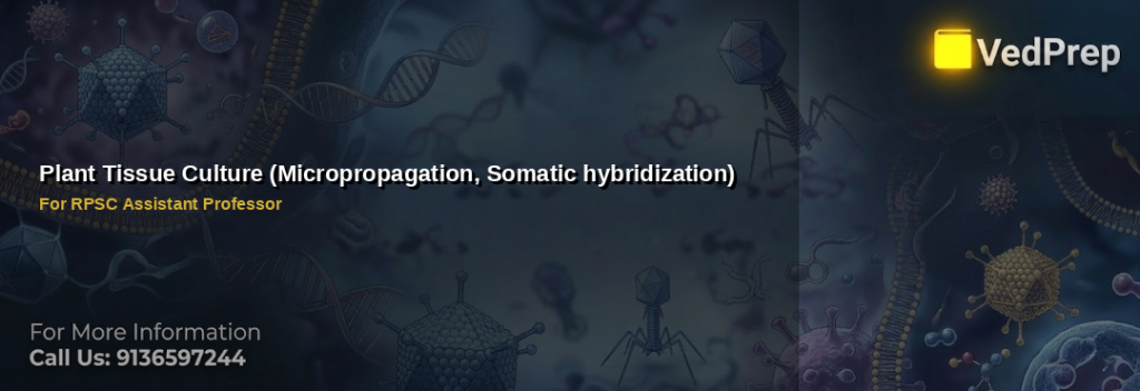 A scientist working with plant tissue culture techniques in a sterile lab environment, showcasing micropropagation and somatic hybridization methods