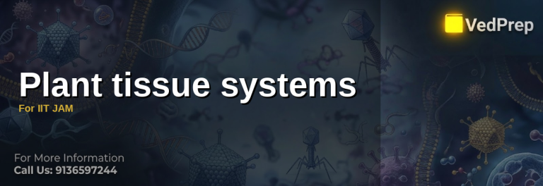 Plant tissue systems
