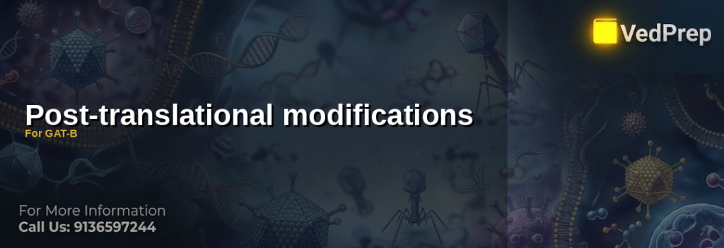 Diagram of post-translational modifications including phosphorylation, ubiquitination, and glycosylation for GAT-B exam preparation