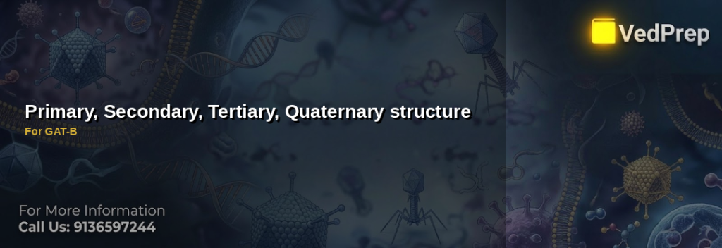 protein structure levels explained – VedPrep exam preparation guide