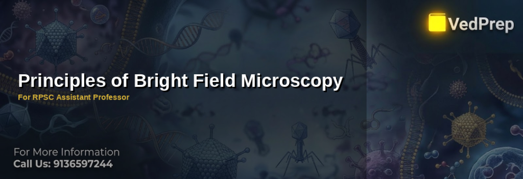 A detailed diagram illustrating the core principles of bright field microscopy principles with labeled components like condenser, objective lens, and illumination path