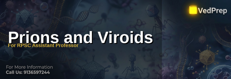A detailed microscopic illustration showing the structural differences between prions (protein aggregates) and viroids (circular RNA molecules) for understanding prions and viroids