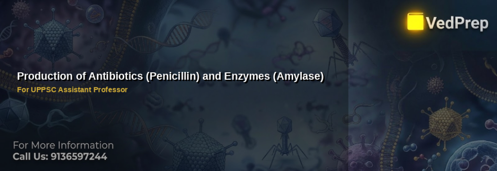 Production of antibiotics and enzymes including penicillin and amylase in bioreactors for UPPSC exam preparation