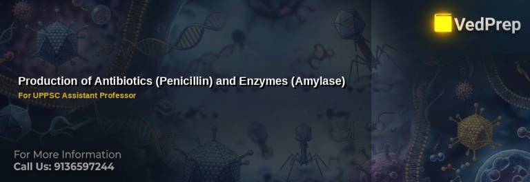 Production of antibiotics and enzymes including penicillin and amylase in bioreactors for UPPSC exam preparation