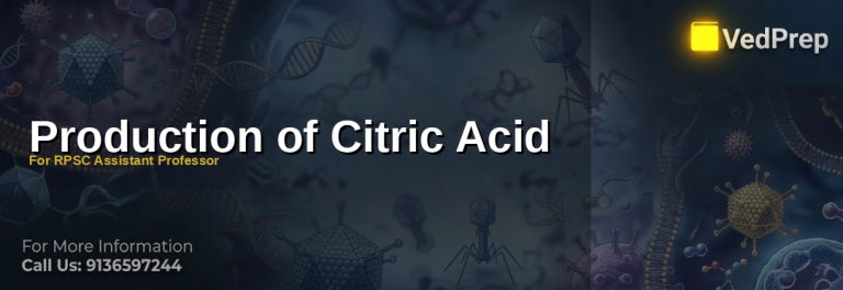 Scientist analyzing microbial citric acid production in a laboratory setting