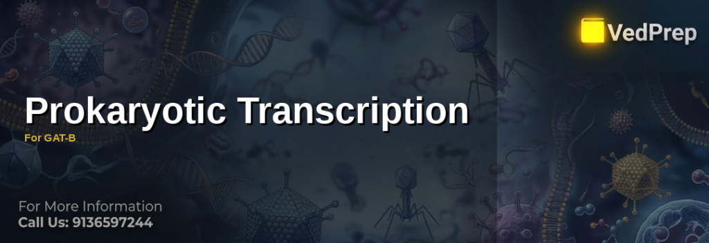 A detailed illustration of prokaryotic transcription showing RNA polymerase binding to DNA, unwinding the helix, and synthesizing mRNA in a bacterial cell