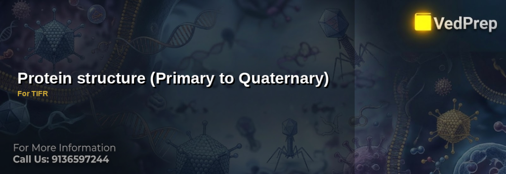protein structure primary to quaternary explained – VedPrep exam preparation guide