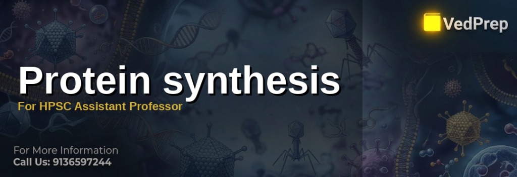 A detailed molecular illustration showing the stages of protein synthesis from DNA transcription to polypeptide chain formation