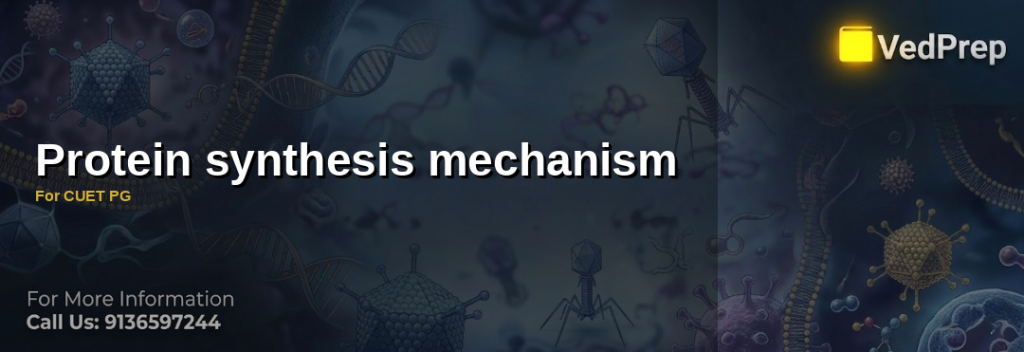 A detailed diagram illustrating the protein translation mechanism, showing ribosomes, mRNA, tRNA, and amino acids aligned for polypeptide synthesis