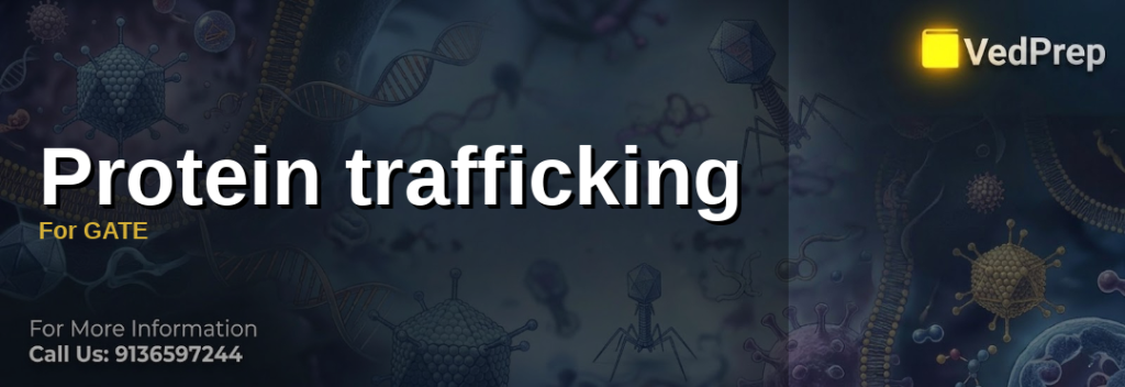 Protein trafficking