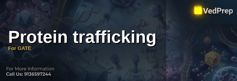 Protein trafficking